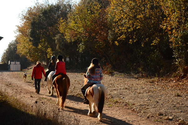 écuries du banassou poney club balade