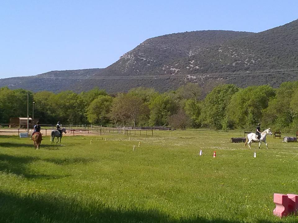 stages aux écuries du banassou